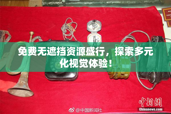 免费无遮挡资源盛行，探索多元化视觉体验！