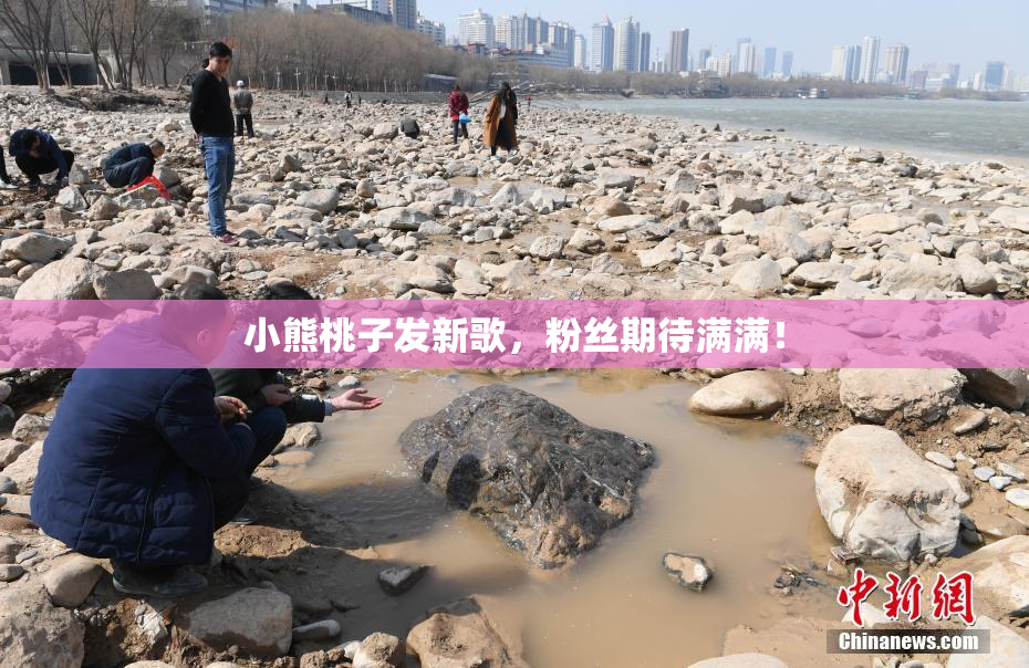 小熊桃子发新歌，粉丝期待满满！
