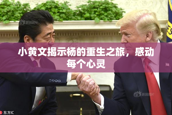小黄文揭示杨的重生之旅，感动每个心灵