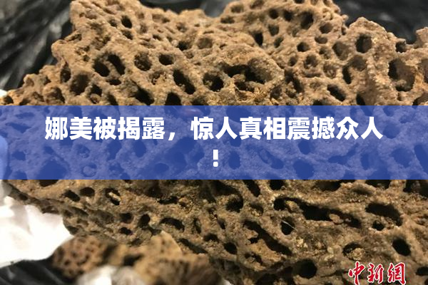 娜美被揭露，惊人真相震撼众人!