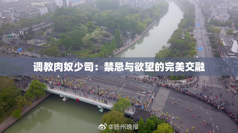 调教肉奴少司：禁忌与欲望的完美交融