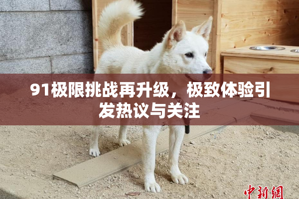 91极限挑战再升级，极致体验引发热议与关注