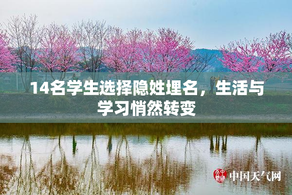 14名学生选择隐姓埋名，生活与学习悄然转变