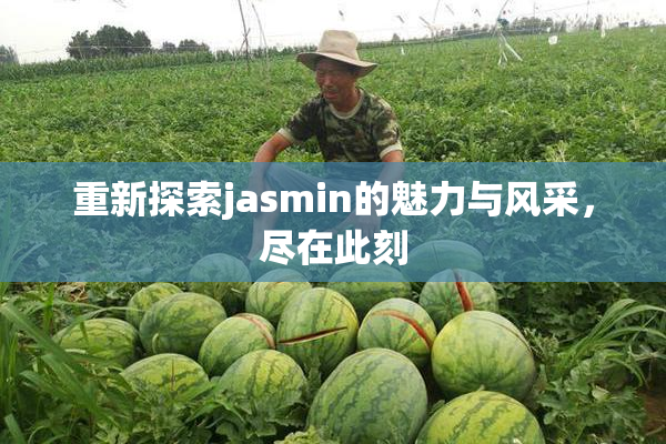 重新探索jasmin的魅力与风采，尽在此刻