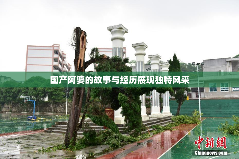 国产阿婆的故事与经历展现独特风采