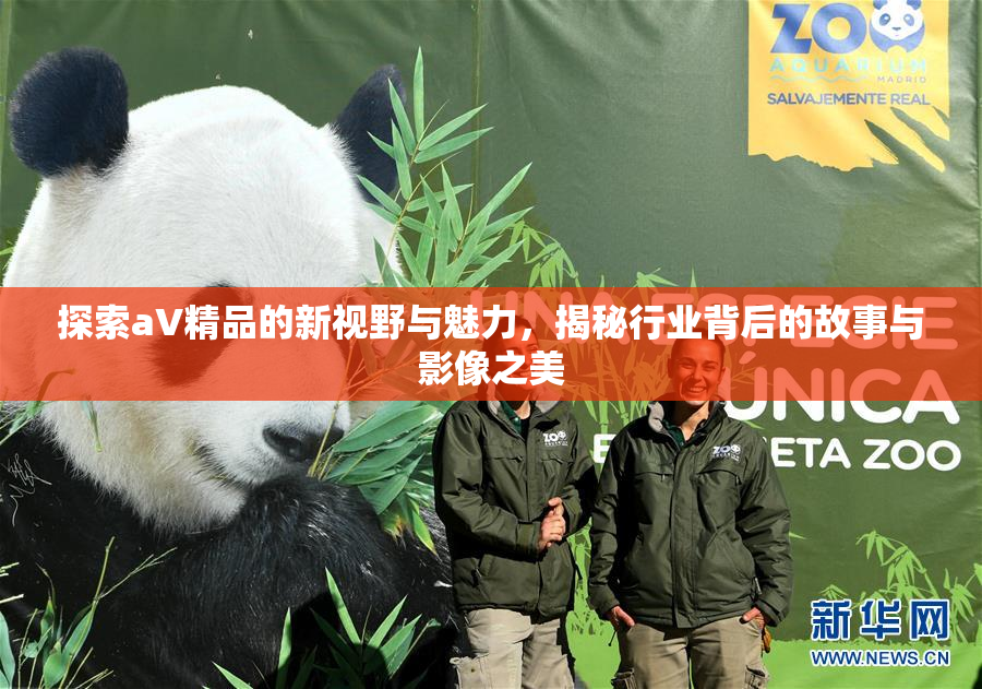 探索aV精品的新视野与魅力，揭秘行业背后的故事与影像之美