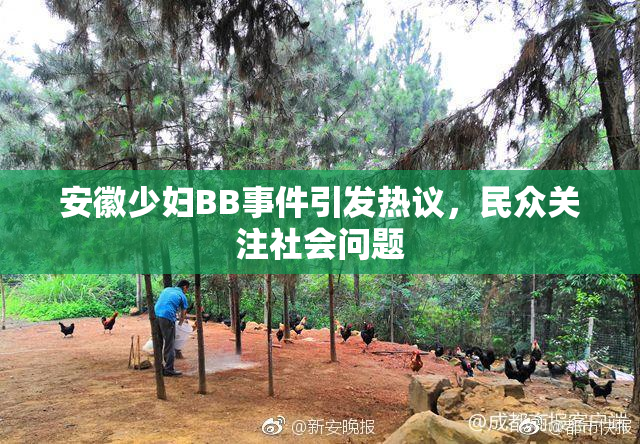 安徽少妇BB事件引发热议，民众关注社会问题