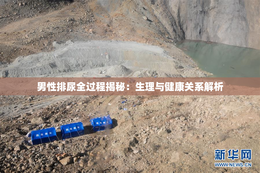 男性排尿全过程揭秘：生理与健康关系解析