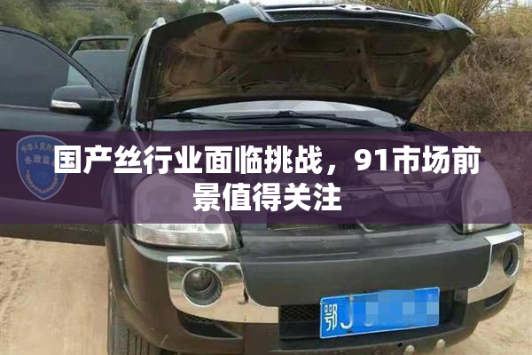 国产丝行业面临挑战，91市场前景值得关注