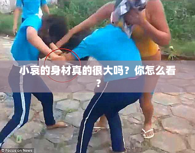 小哀的身材真的很大吗？你怎么看？