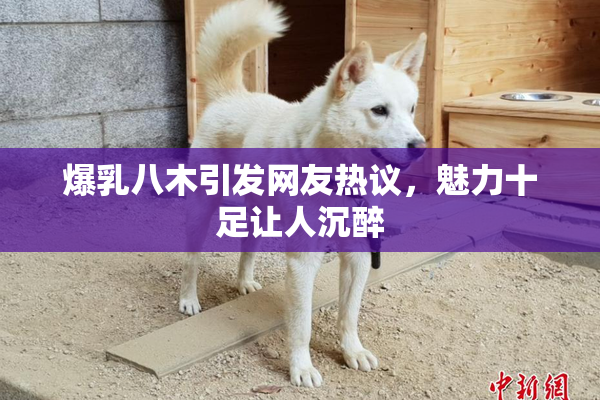 爆乳八木引发网友热议，魅力十足让人沉醉