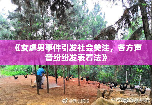 《女虐男事件引发社会关注，各方声音纷纷发表看法》