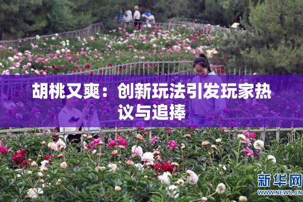 胡桃又爽：创新玩法引发玩家热议与追捧