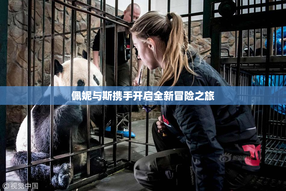 佩妮与斯携手开启全新冒险之旅