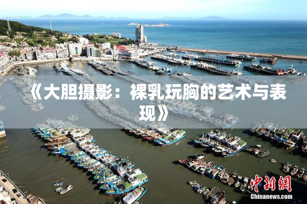 《大胆摄影：裸乳玩胸的艺术与表现》