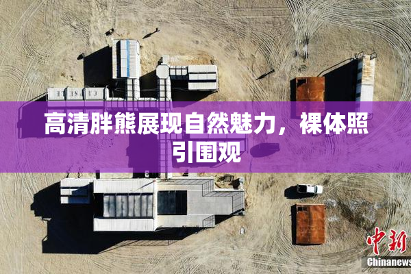 高清胖熊展现自然魅力，裸体照引围观