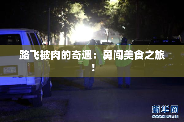 路飞被肉的奇遇：勇闯美食之旅！