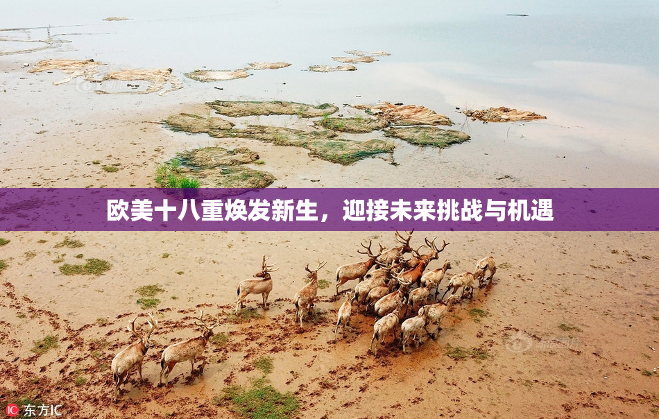 欧美十八重焕发新生，迎接未来挑战与机遇