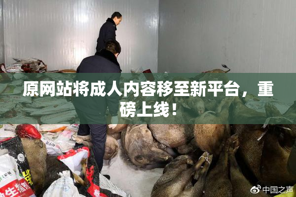 原网站将成人内容移至新平台，重磅上线！