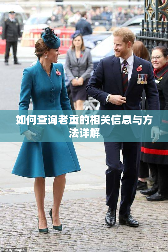 如何查询老重的相关信息与方法详解