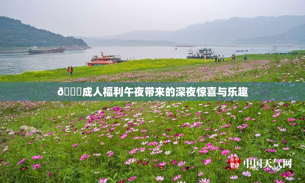 🔞成人福利午夜带来的深夜惊喜与乐趣