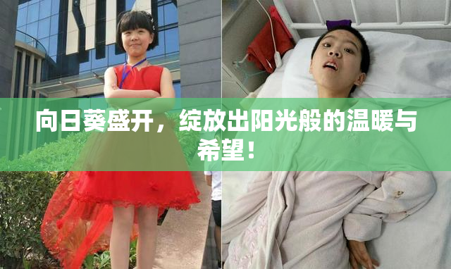 向日葵盛开，绽放出阳光般的温暖与希望！