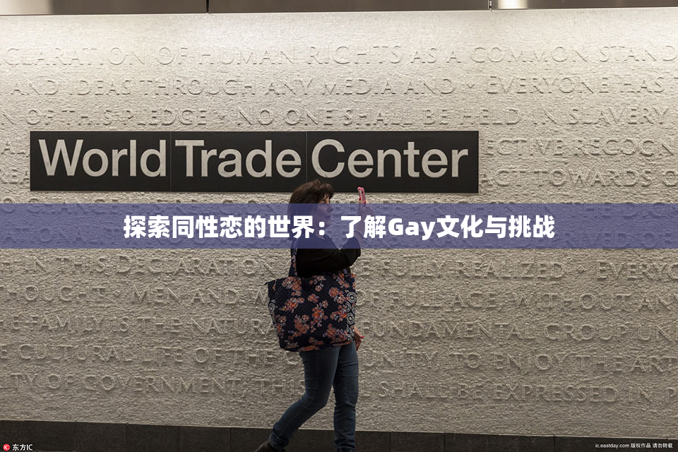 探索同性恋的世界：了解Gay文化与挑战