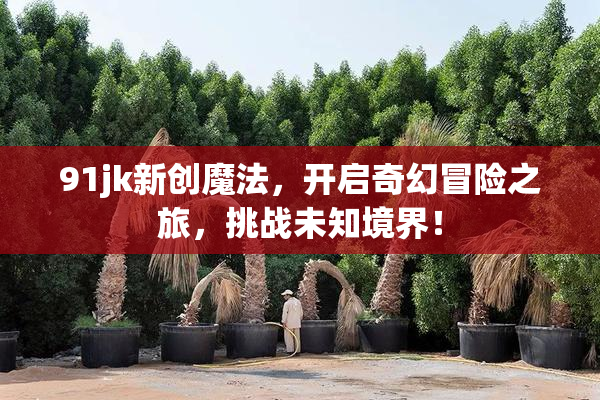 91jk新创魔法，开启奇幻冒险之旅，挑战未知境界！
