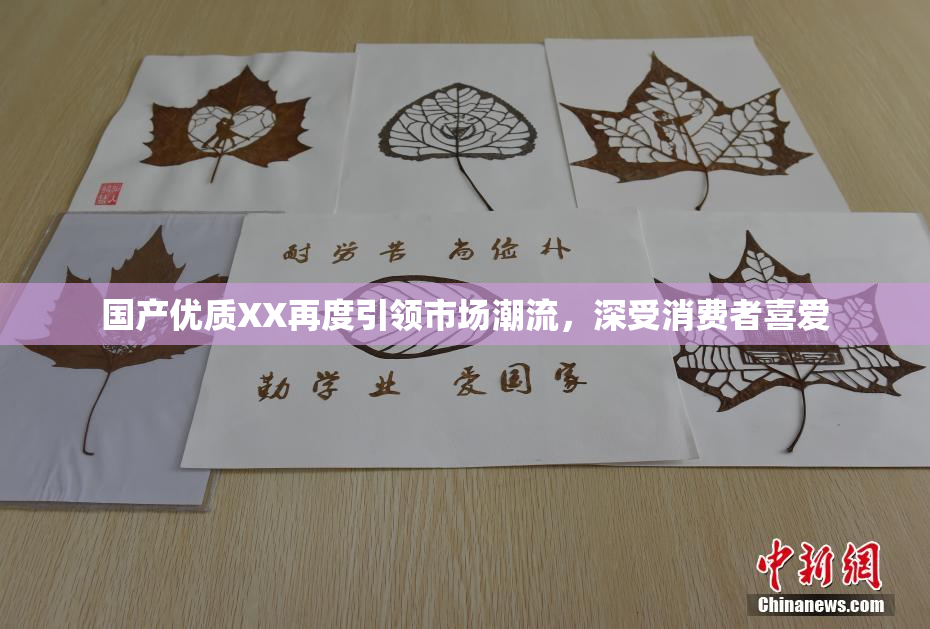 国产优质XX再度引领市场潮流，深受消费者喜爱