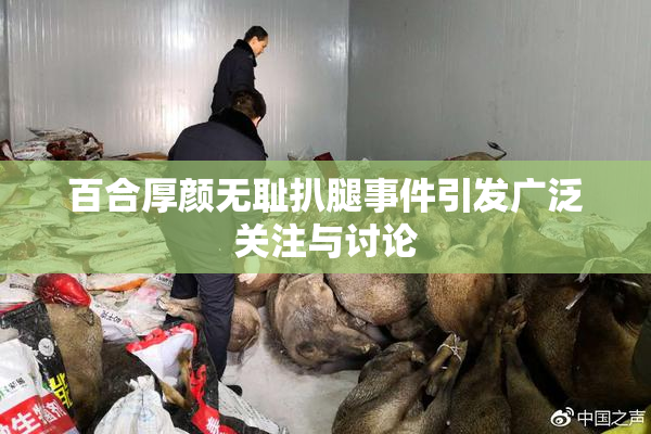 百合厚颜无耻扒腿事件引发广泛关注与讨论