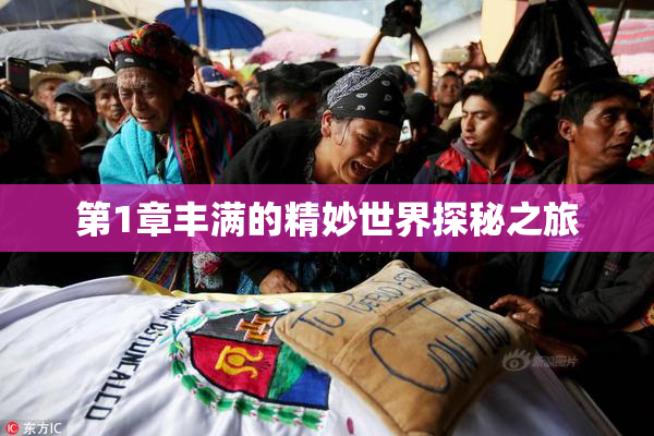 第1章丰满的精妙世界探秘之旅