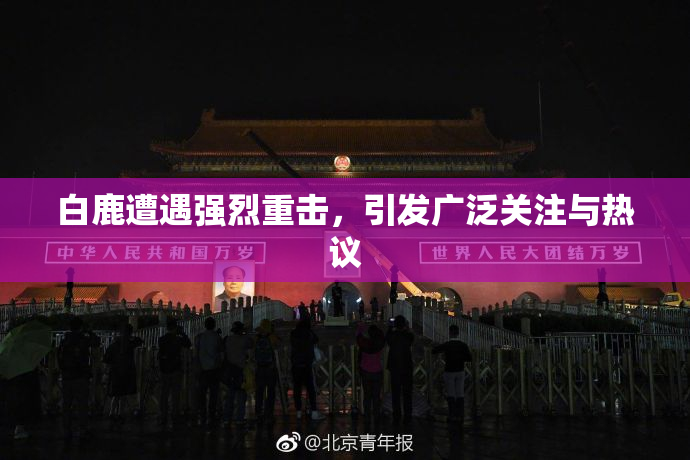 白鹿遭遇强烈重击，引发广泛关注与热议