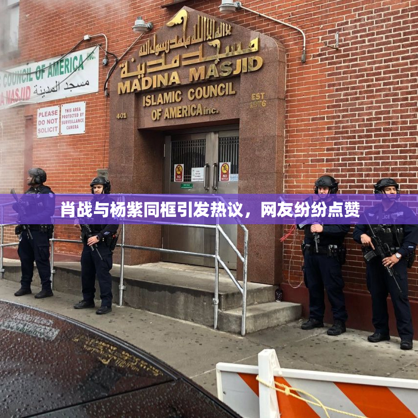 肖战与杨紫同框引发热议，网友纷纷点赞