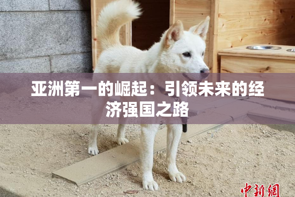 亚洲第一的崛起：引领未来的经济强国之路