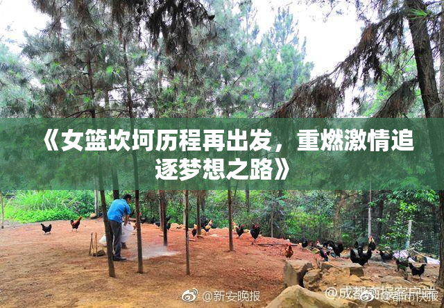 《女篮坎坷历程再出发，重燃激情追逐梦想之路》