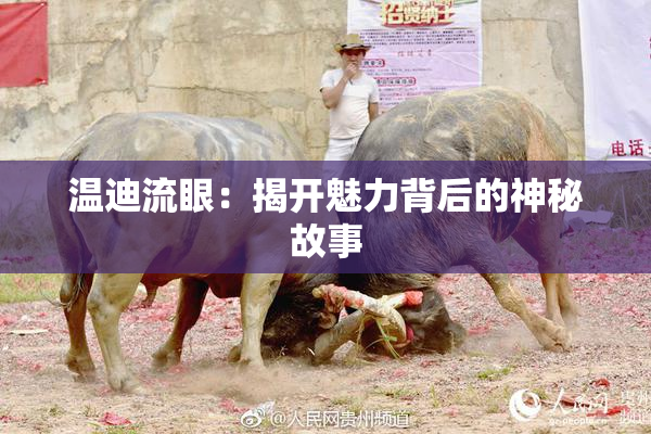 温迪流眼：揭开魅力背后的神秘故事