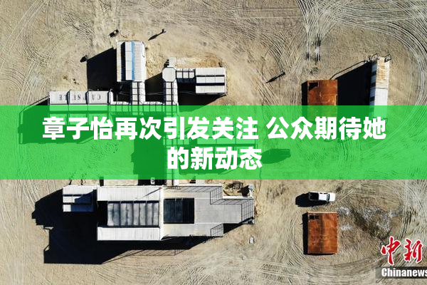 章子怡再次引发关注 公众期待她的新动态