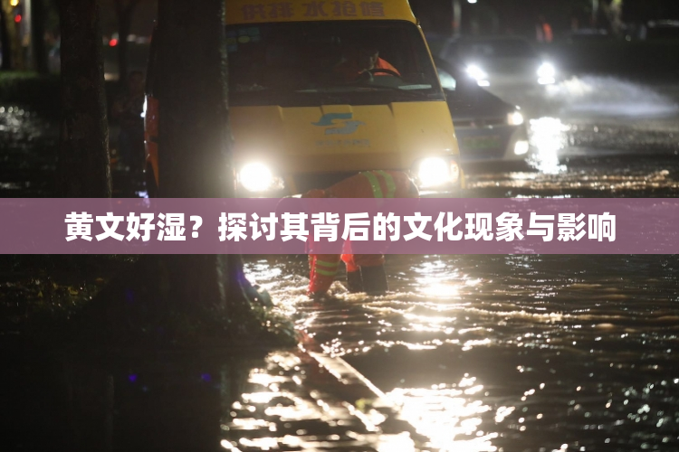 黄文好湿？探讨其背后的文化现象与影响