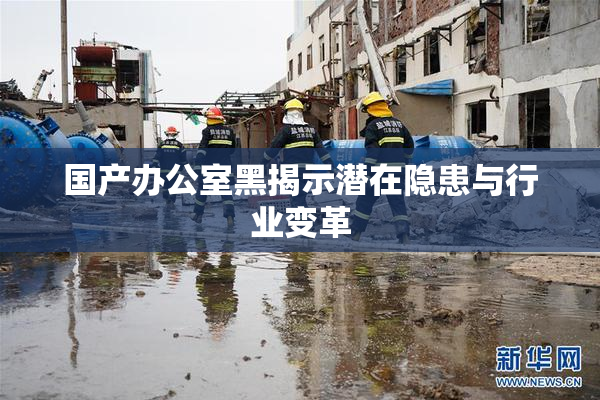 国产办公室黑揭示潜在隐患与行业变革