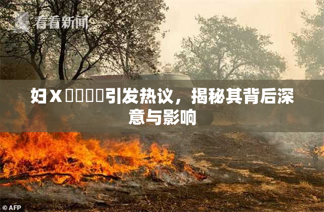 妇Ⅹ乄乂❌‌引发热议，揭秘其背后深意与影响