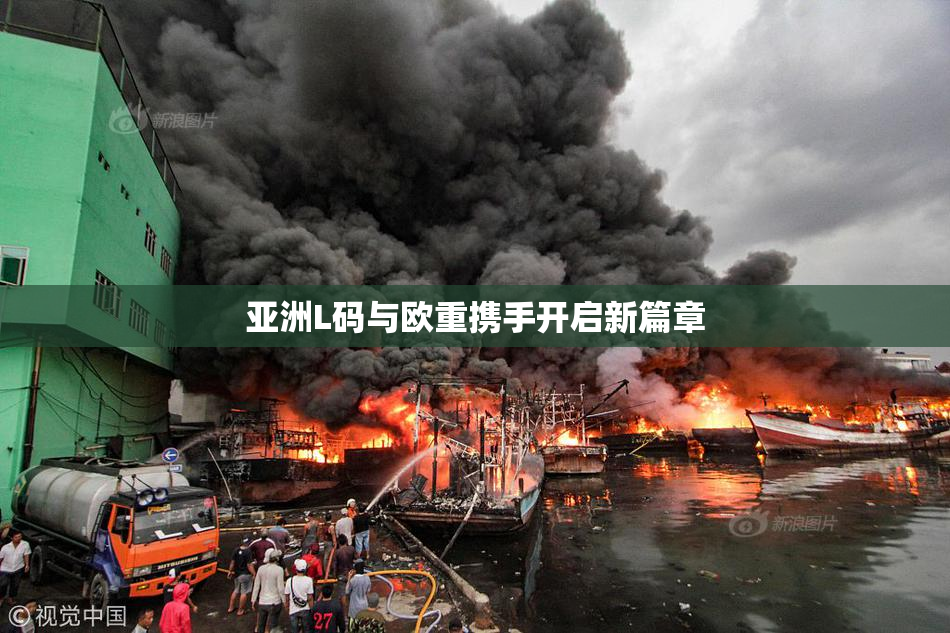 亚洲L码与欧重携手开启新篇章