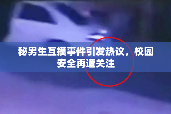 秘男生互摸事件引发热议，校园安全再遭关注