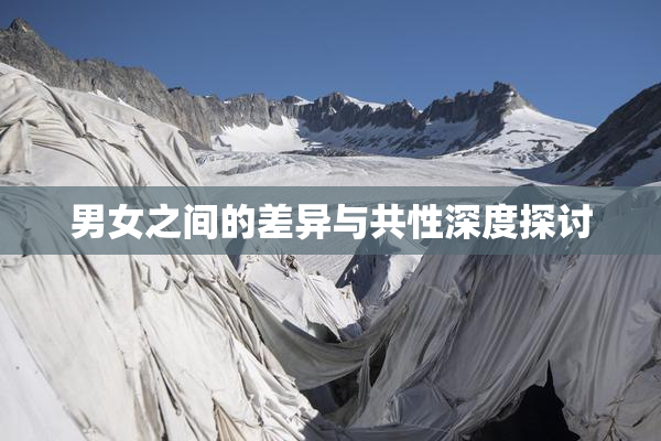 男女之间的差异与共性深度探讨