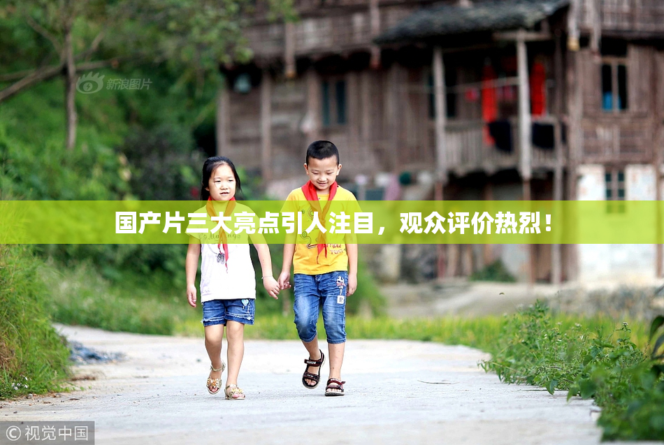 国产片三大亮点引人注目，观众评价热烈！