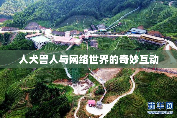 人犬兽人与网络世界的奇妙互动