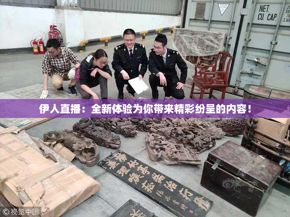 伊人直播：全新体验为你带来精彩纷呈的内容！