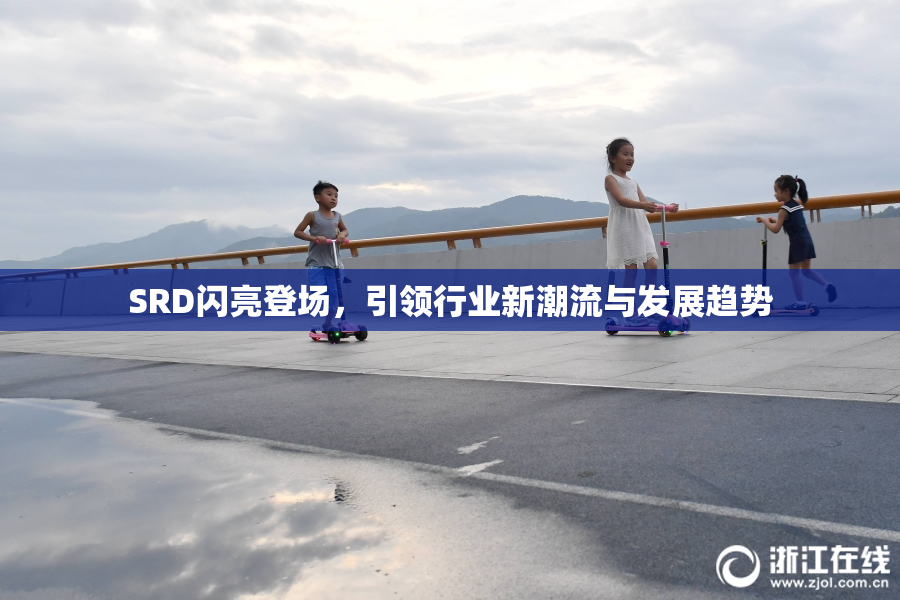SRD闪亮登场，引领行业新潮流与发展趋势