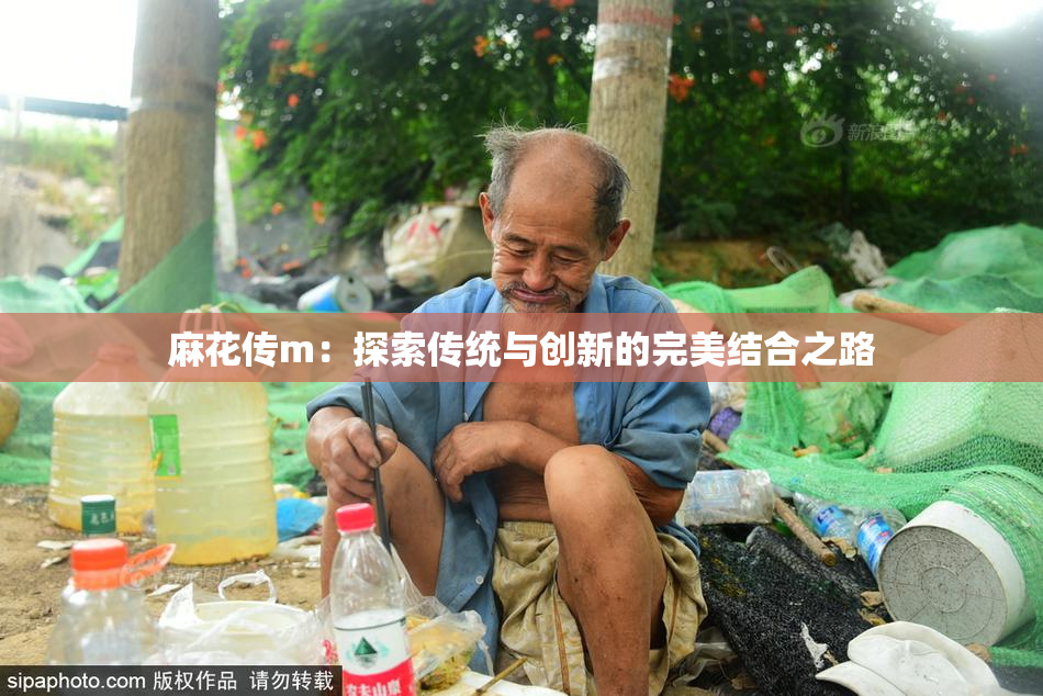 麻花传m：探索传统与创新的完美结合之路