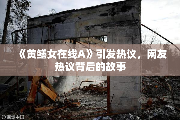 《黄鳝女在线A》引发热议，网友热议背后的故事