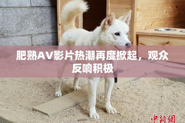 肥熟AV影片热潮再度掀起，观众反响积极